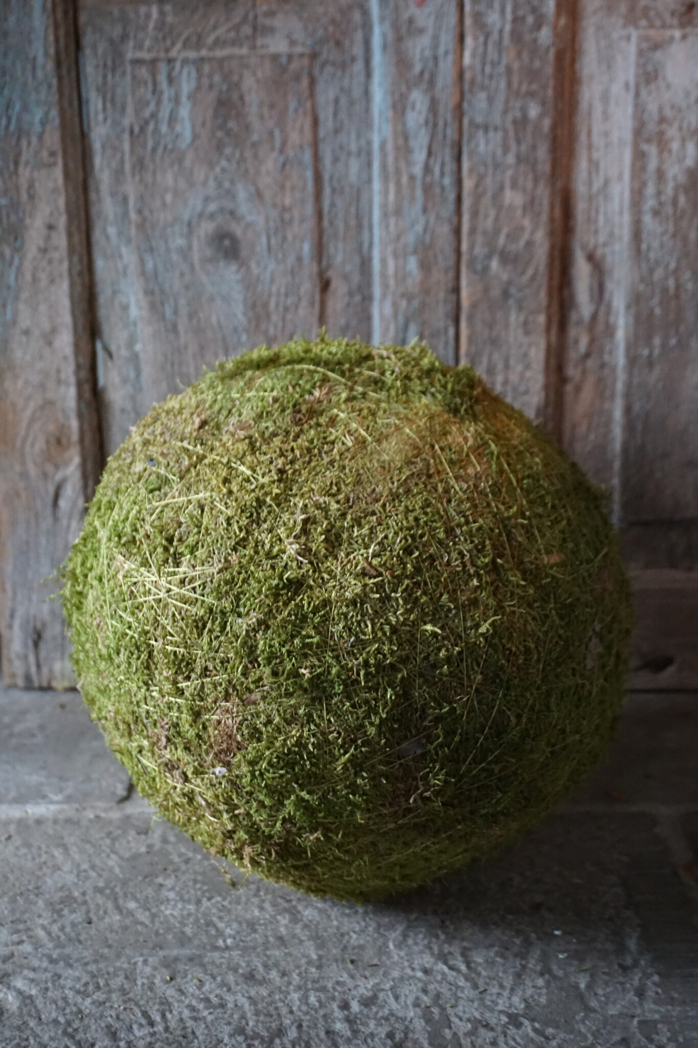 Rene Houtman Decoratiebol Mos | D30cm