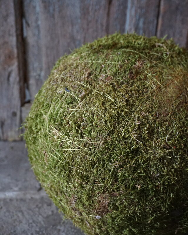 Rene Houtman Decoratiebol Mos | D30cm