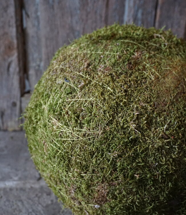 Rene Houtman Decoratiebol Mos | D30cm