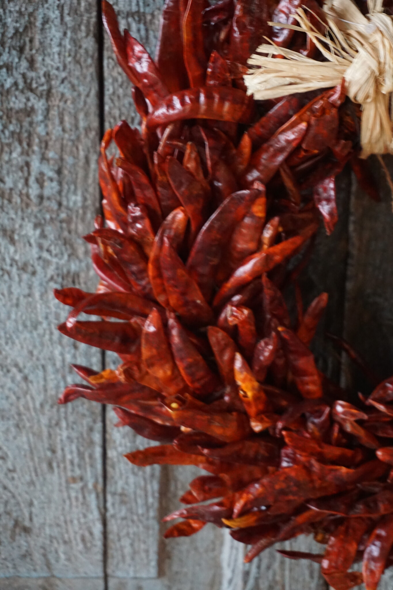 Rene Houtman Krans Rood Chili | D30cm