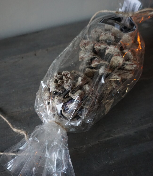 Rene Houtman Geurende Dennenappels Amber | Set Van 2