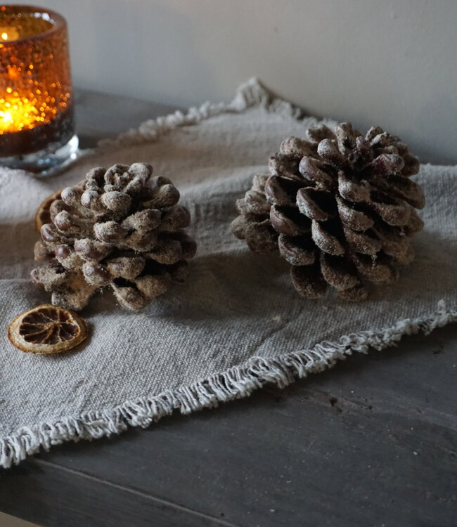 Rene Houtman Geurende Dennenappels Amber | Set Van 2