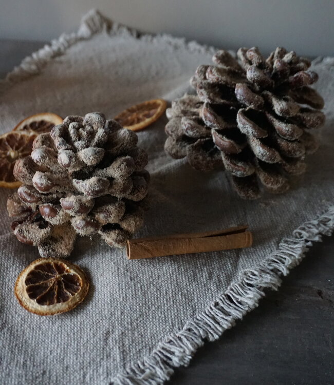 Rene Houtman Geurende Dennenappels Amber | Set Van 2