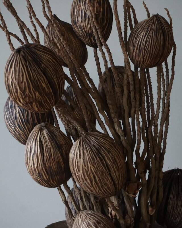 Rene Houtman Decoratietak Cocos Naturel | L75xB10cm