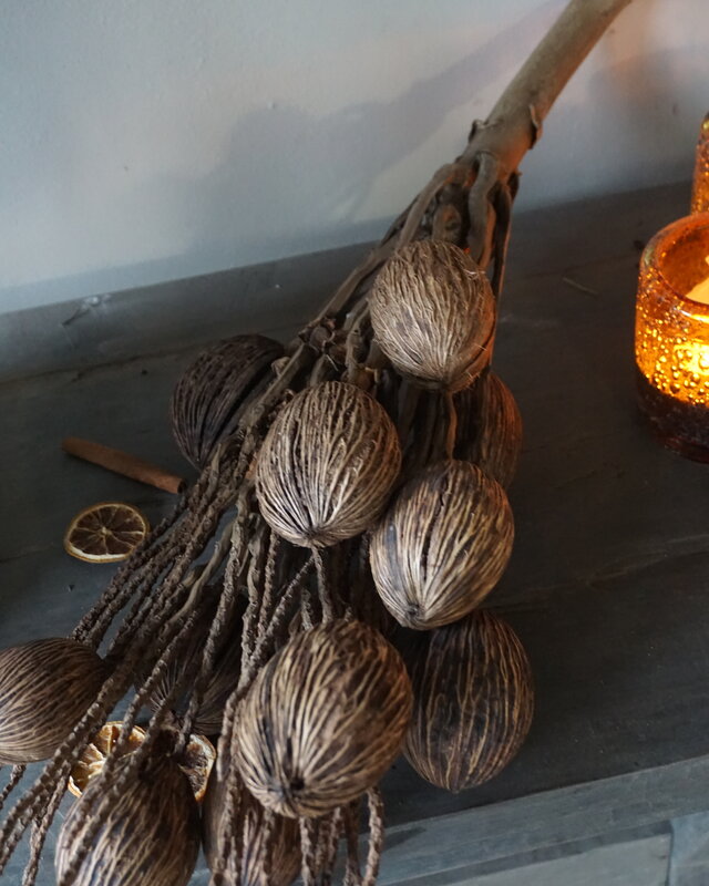 Rene Houtman Decoratietak Cocos Naturel | L75xB10cm