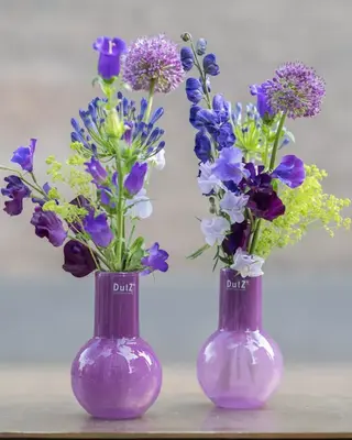 DutZ Vaas Masa | Violet | H18 x D11 cm