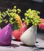 DutZ Tuimelvaas | H12 x D10 cm | 3 Kleuren