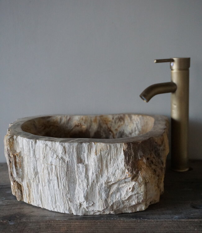 Rene Houtman Waskom Fossil | B43 x D40 x H15 cm