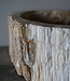 Rene Houtman Waskom Fossil | B43 x D40 x H15 cm