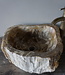 Rene Houtman Waskom Fossil | B43 x D40 x H15 cm