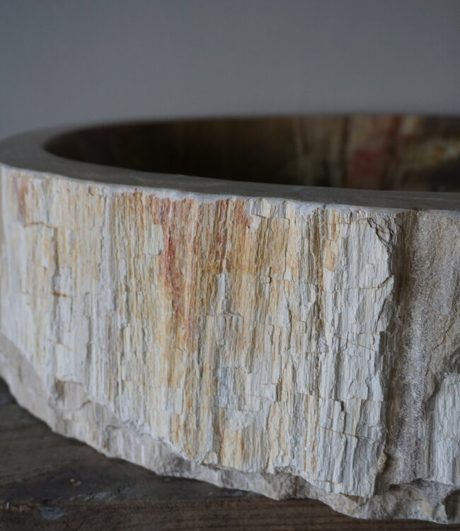 Rene Houtman Waskom Fossil | B47 x D40 x H13,5 cm