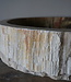 Rene Houtman Waskom Fossil | B47 x D40 x H13,5 cm