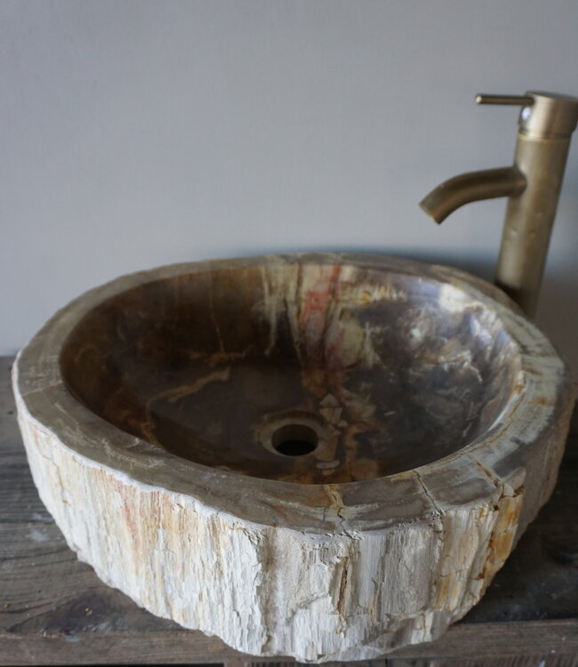 Rene Houtman Waskom Fossil | B47 x D40 x H13,5 cm