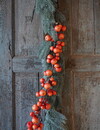 Rene Houtman Siertak | Kunst Appels | Rood