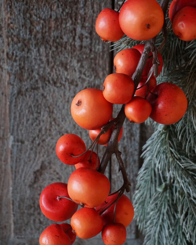 Rene Houtman Siertak | Kunst Appels | Rood