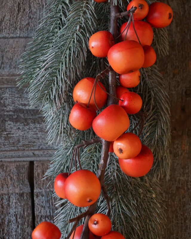 Rene Houtman Siertak | Kunst Appels | Rood