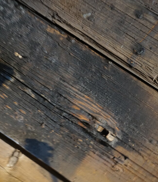 Rene Houtman Vaas | Devi | Medium | Black | H44 x D26 cm