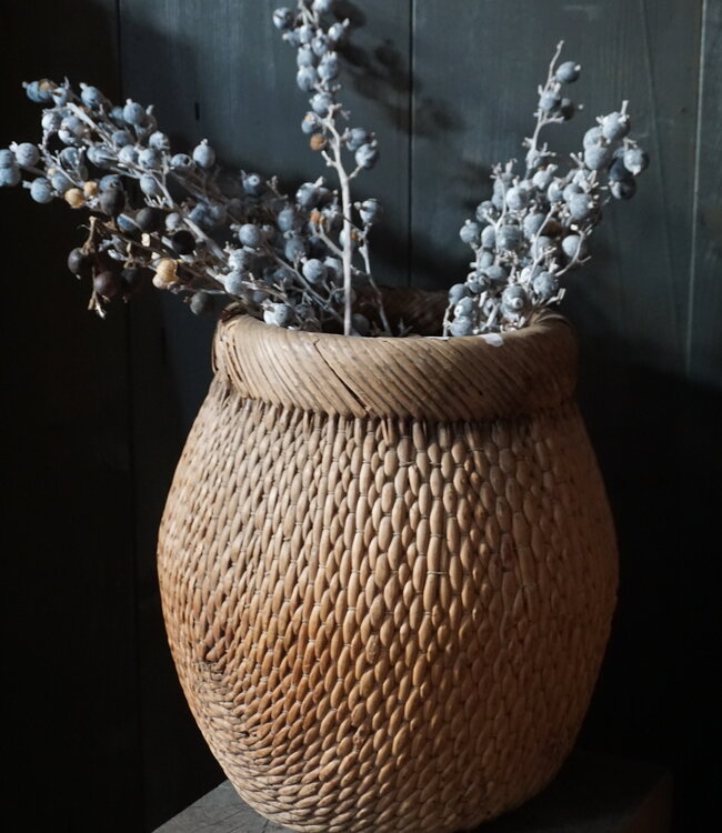 Rene Houtman Oude Vismand | Vergrijsd Riet | H37 x D28 cm