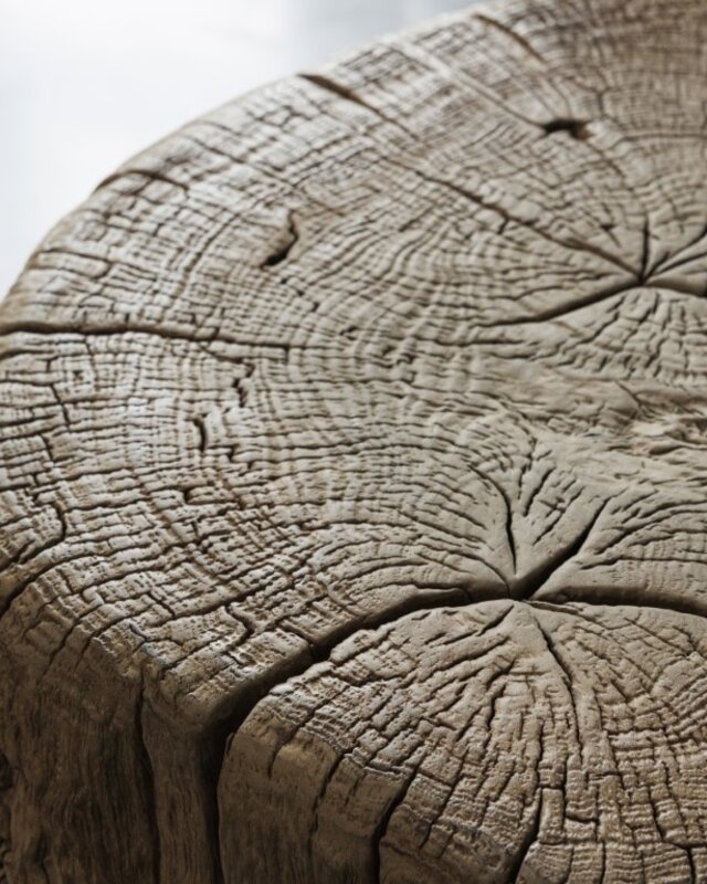 Be-Uniq Bijzettafel | Organisch Hout | H50 x B63 x D48 cm