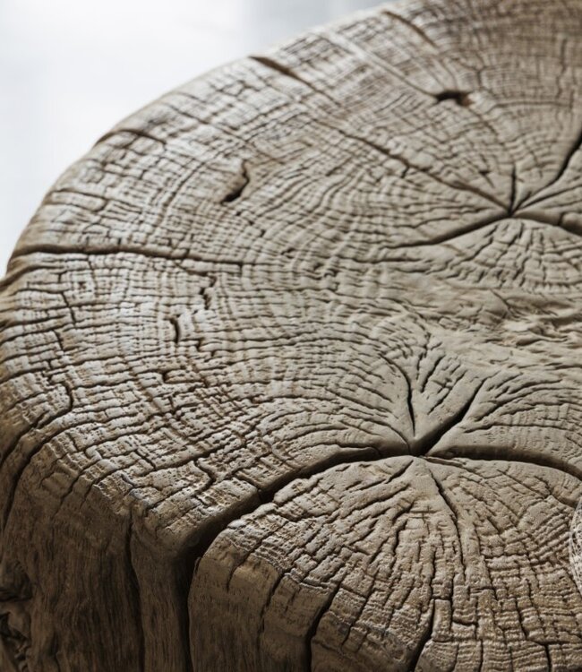 Be-Uniq Bijzettafel | Organisch Hout | H50 x B63 x D48 cm