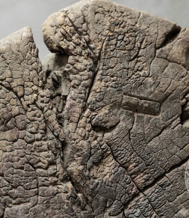 Be-Uniq Antieke Tribal Bijzettafel | Tibet | H50 x D44 cm