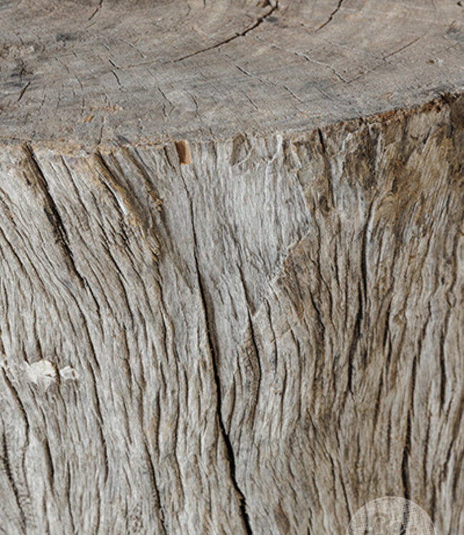 Be-Uniq Unieke Boomstam Zuil  | India | H70 x D47 cm