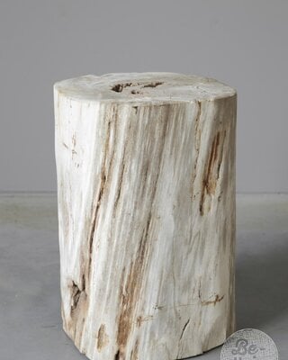 Be-Uniq Zuil | Versteend Hout | Indonesië | H43 x B27 x D30 cm