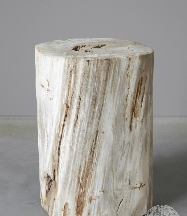 Be-Uniq Zuil | Versteend Hout | Indonesië | H43 x B27 x D30 cm