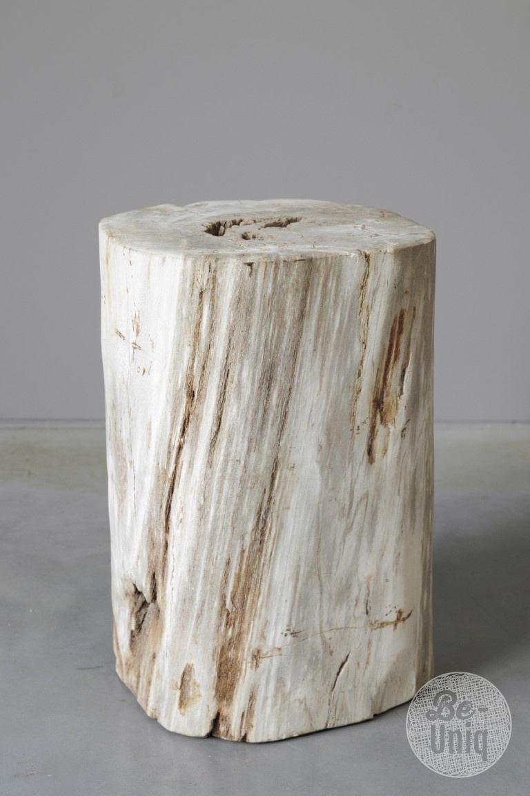 Be-Uniq Zuil | Versteend Hout | Indonesië | H43 x B27 x D30 cm