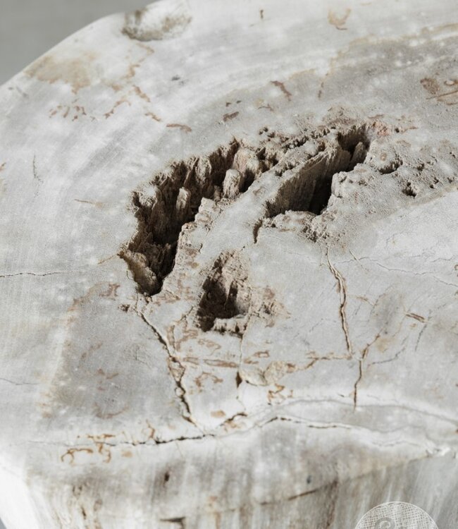 Be-Uniq Zuil | Versteend Hout | Indonesië | H43 x B27 x D30 cm