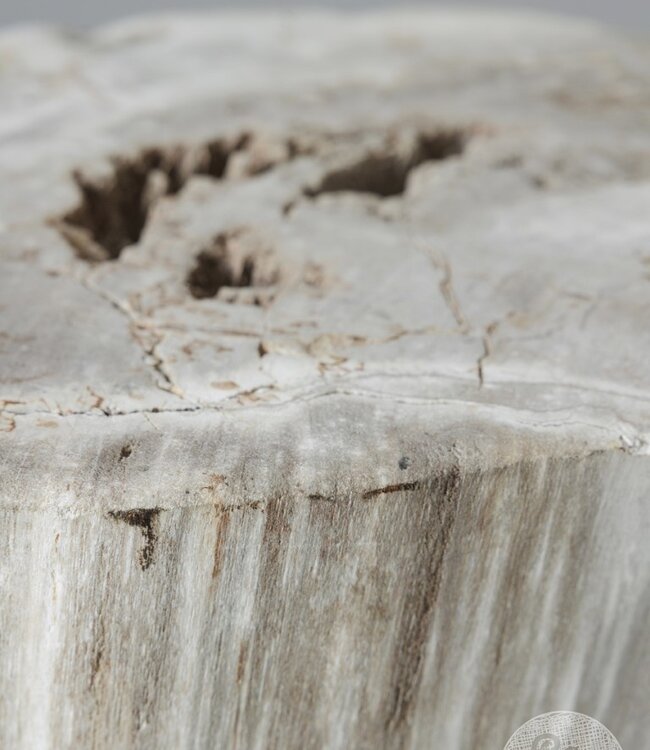 Be-Uniq Zuil | Versteend Hout | Indonesië | H43 x B27 x D30 cm