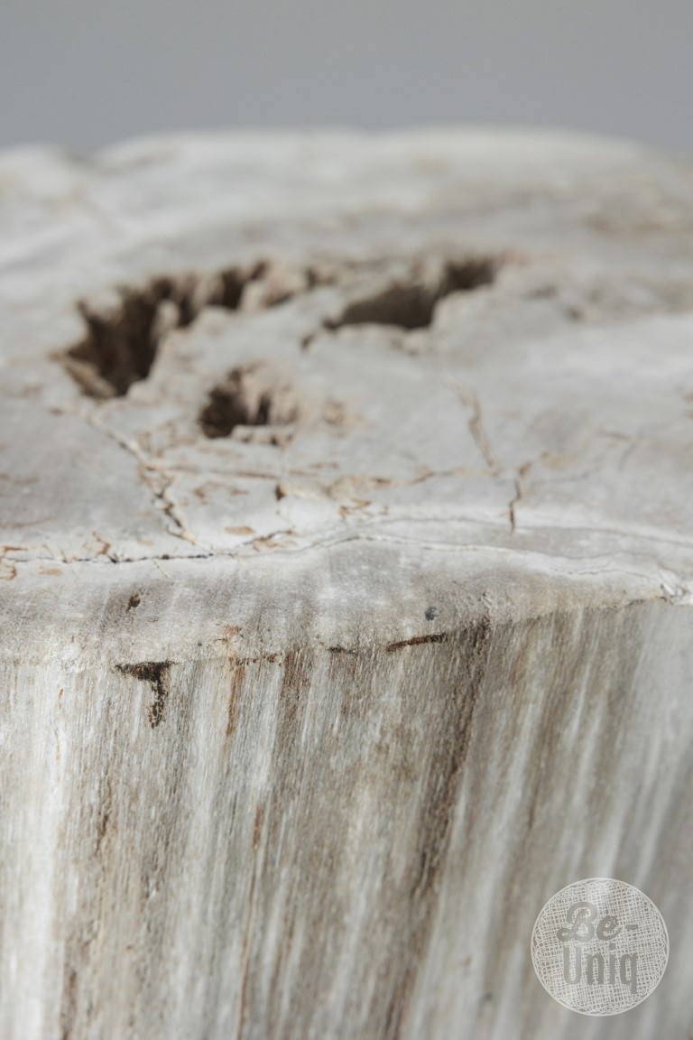 Be-Uniq Zuil | Versteend Hout | Indonesië | H43 x B27 x D30 cm