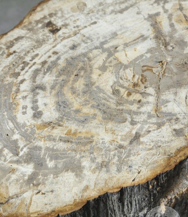 Be-Uniq Bijzettafel | Indonesië | H38 x B52 x D38 cm