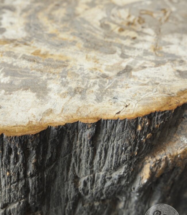 Be-Uniq Bijzettafel | Indonesië | H38 x B52 x D38 cm