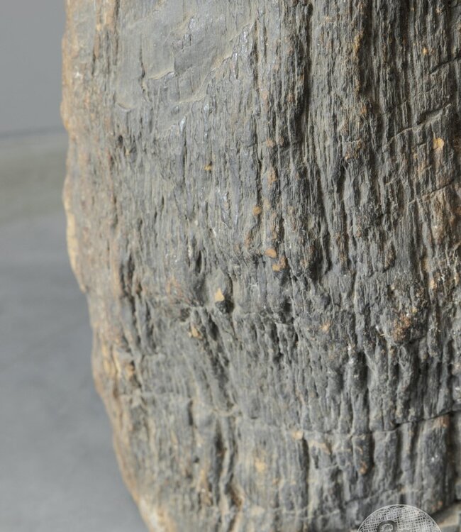 Be-Uniq Bijzettafel | Indonesië | H38 x B52 x D38 cm