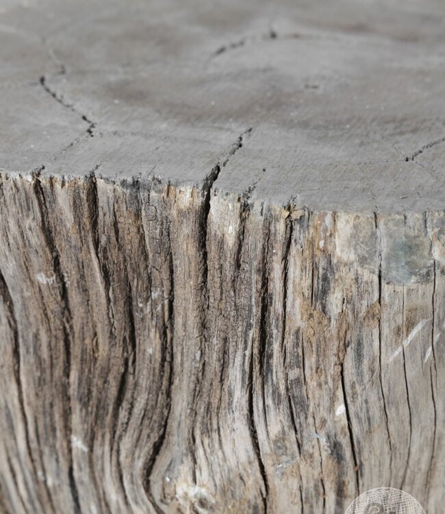 Be-Uniq Oud Houtblok | India | 2 Maten Verkrijgbaar