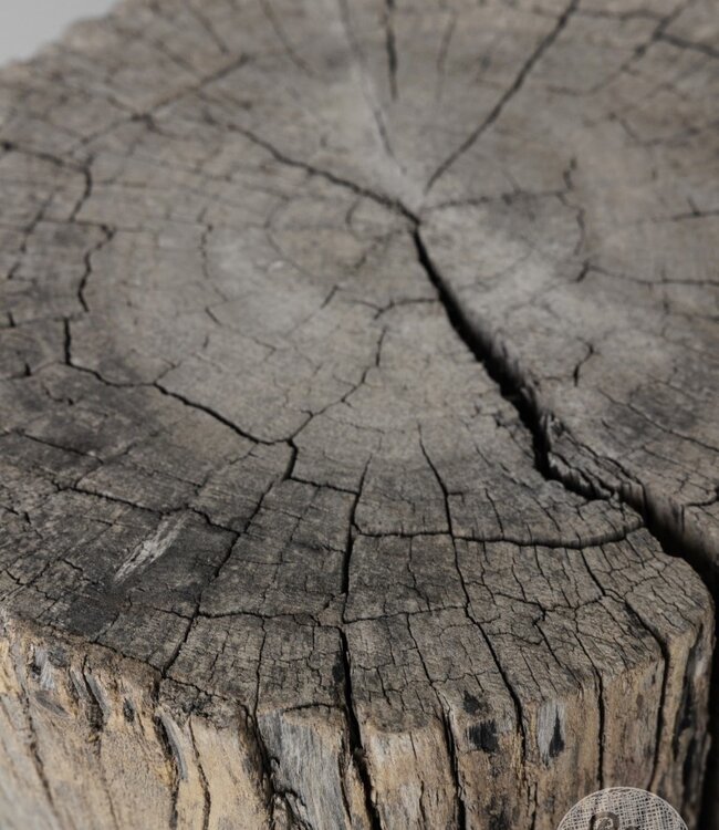 Be-Uniq Oud Houtblok | India | 2 Maten Verkrijgbaar