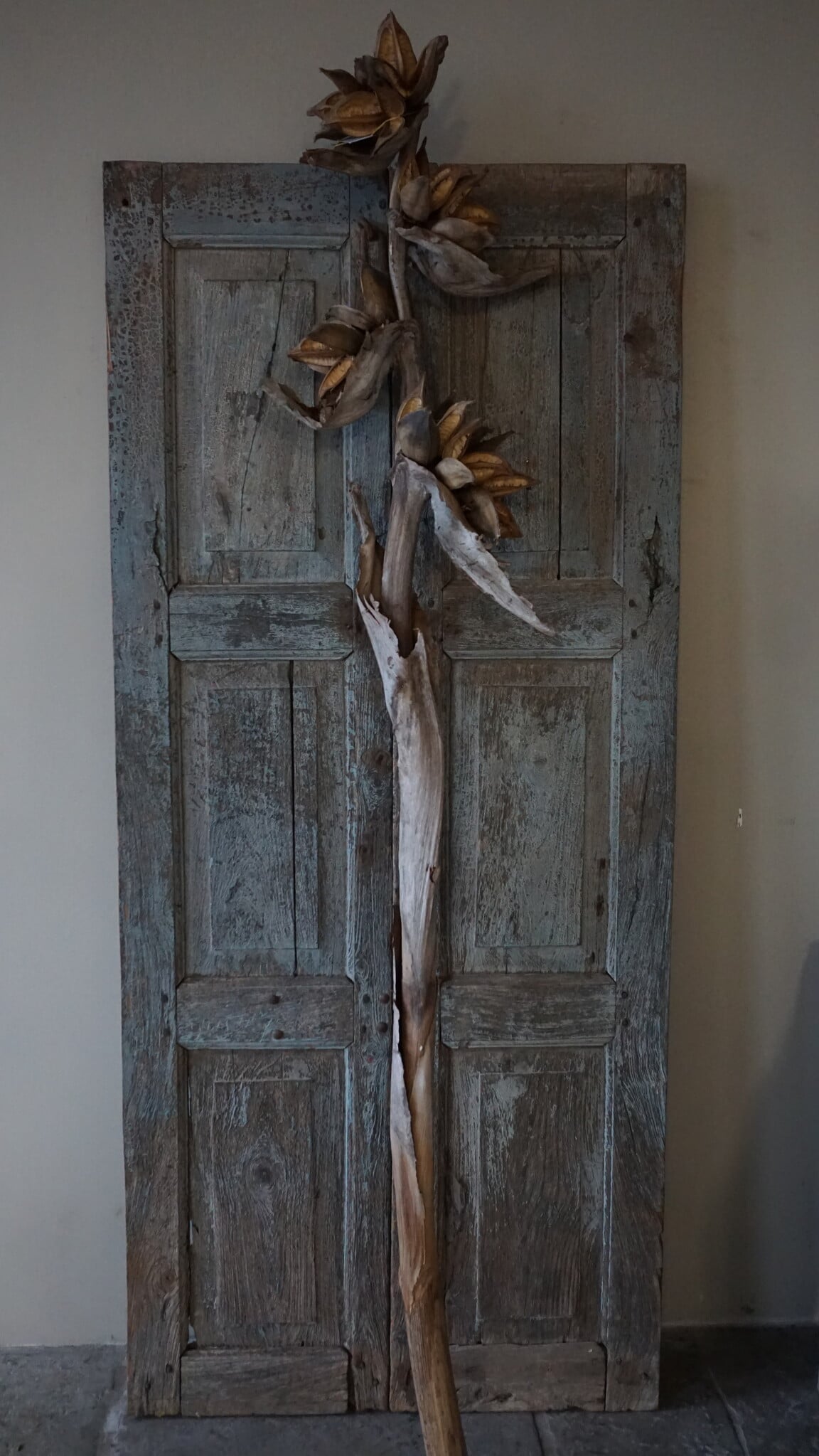 Rene Houtman Sororoca Tak Decoratie