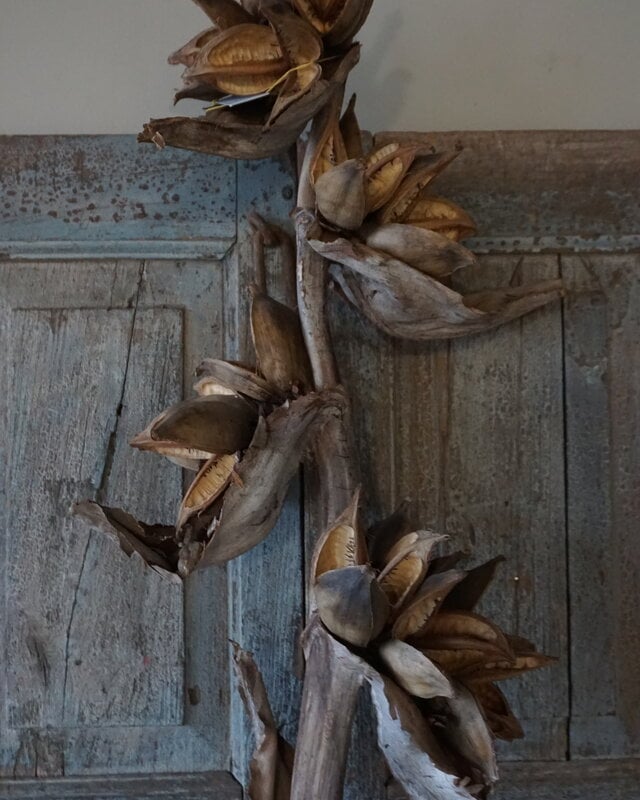 Rene Houtman Sororoca Tak Decoratie