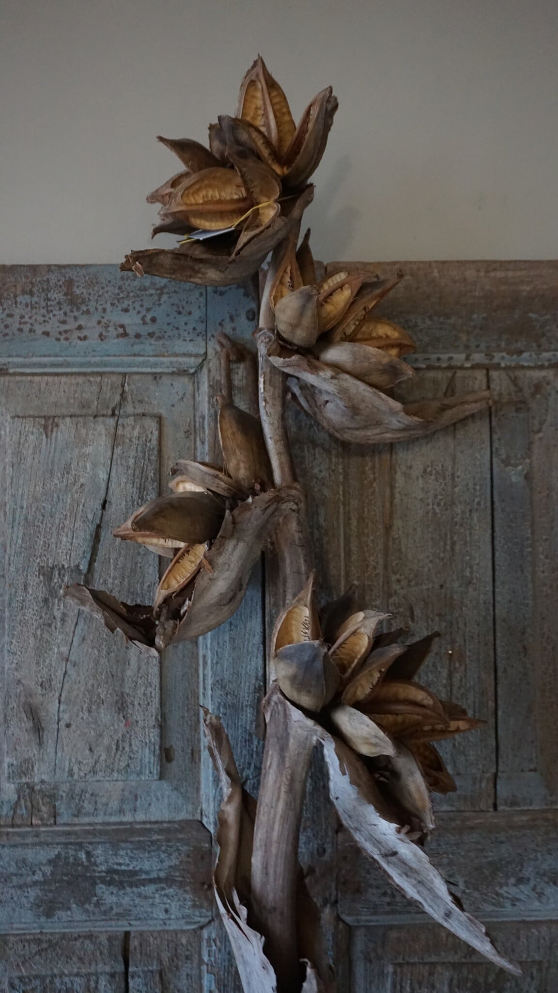 Rene Houtman Sororoca Tak Decoratie