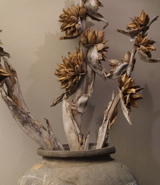 Rene Houtman Sororoca Tak Decoratie | L190 cm