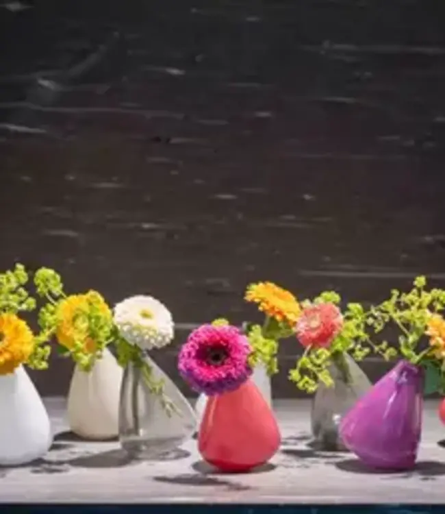 DutZ Tuimelvaas | H12 x D10 cm | 65Kleuren