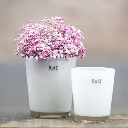 DutZ Conische Vaas | Kies Maat + Kleur!
