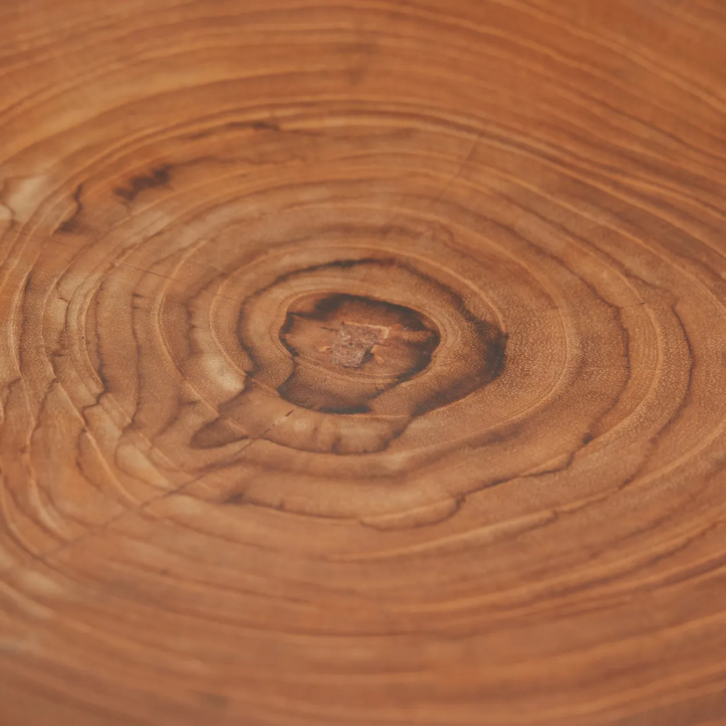 Bazar Bizar Het Teak Root Organic Bord