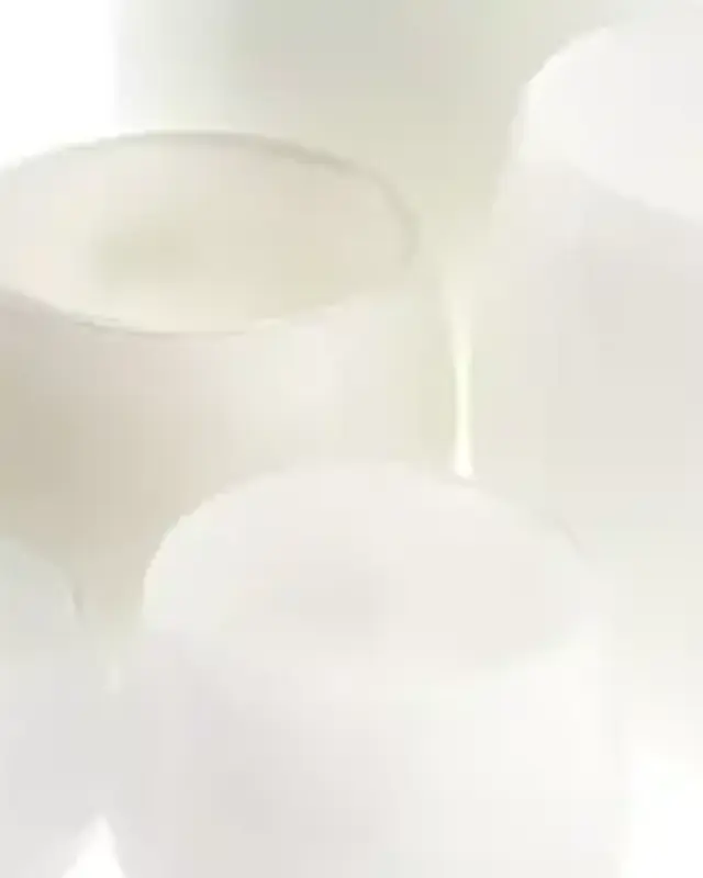 DutZ Pot | Wit | 4 Maten