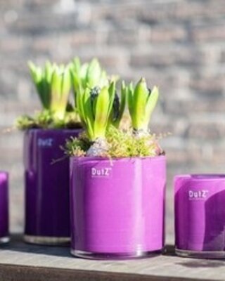 DutZ Cilinder Vaas | Kies Maat + Kleur!