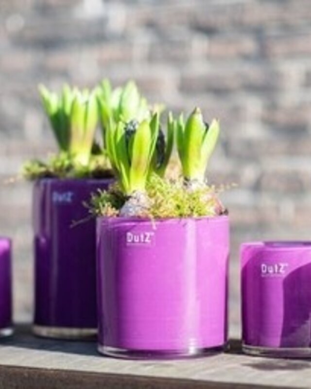 DutZ Cilinder Vaas | Kies Maat + Kleur!