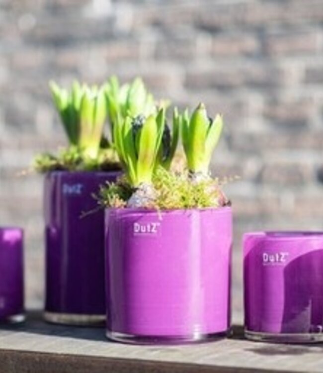 DutZ Cilinder Vaas | Kies Maat + Kleur!