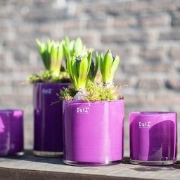 DutZ Cilinder Vaas | Kies Maat + Kleur!