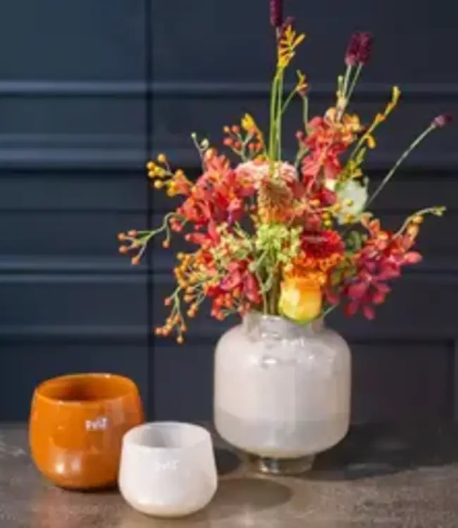 DutZ Vaas Lampion |7 Kleuren | H18 x D17 cm